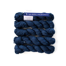 Malabrigo Sock Minis