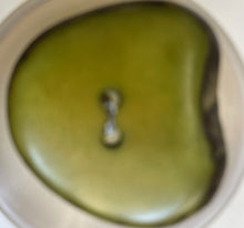 Tagua Slice Button