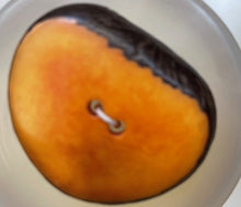 Tagua Slice Button