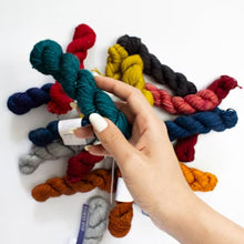 Malabrigo Sock Minis