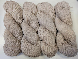 American Ewe "Twisted Sport"