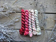 Koigu Paint Cans