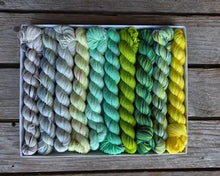 Koigu Pencil Box