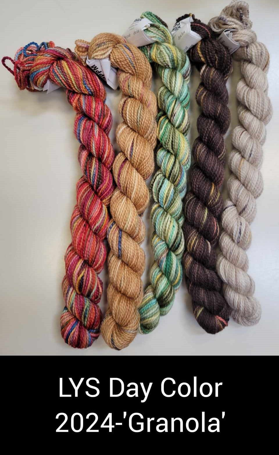 Koigu Paint Cans – Needles 'n Pins Yarn Shoppe