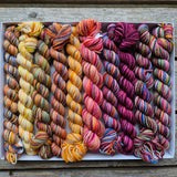 Koigu Pencil Box