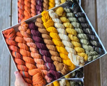 Koigu Pencil Box