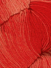 Huasco Sock Kettle Dyes