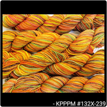 Koigu KPPPM (Variegateds) Colors #010-599