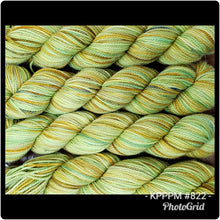 Koigu KPPPM (Variegateds) Colors #600-999