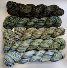 Koigu Gradient Packs