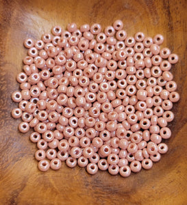 Glass Beads-Size 6